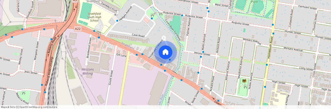 6a Fitzgerald crescent, NSW 2135, Strathfield