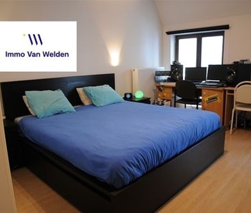 Gerenoveerd beluikhuisje in het centrum van Oudenaarde - Photo 2