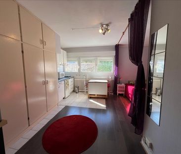 1 pièce - Meublé - 27,34 m² - 1er étage - Colocation non autorisée - Photo 1