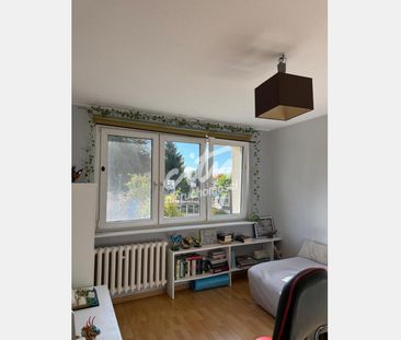 Szczecin - Zdjęcie 6