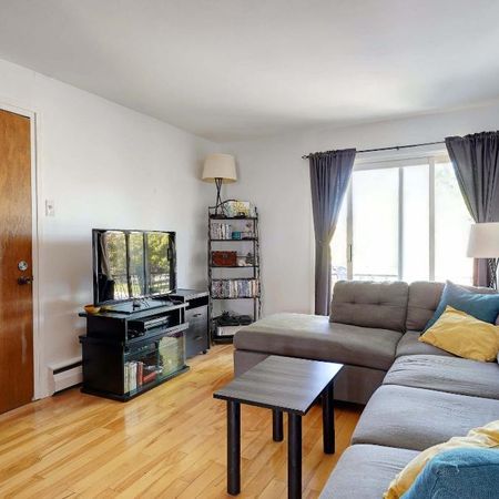 4 1/2 rénové à Pointe-aux-Trembles - Juillet - Internet inclus - Photo 4