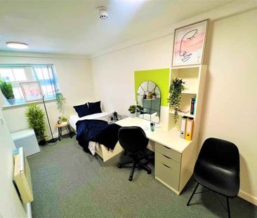 Classic Studio - Photo 5