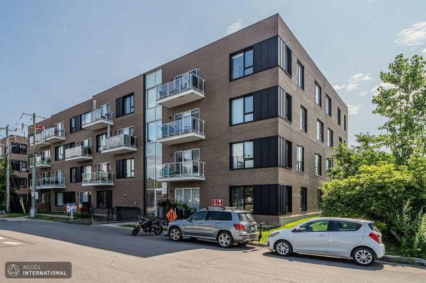 MR068 - Apartment Rosemont/Petite-Patrie, Montreal - Photo 1