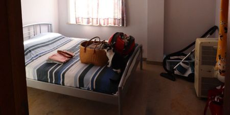 Appartement te huur in Pittem voor € 720 met 2 slaapkamers - Photo 5