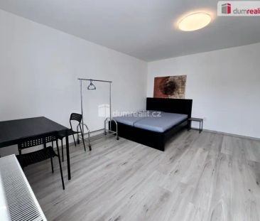 Pronájem bytu 1+kk, 22 m - Fotografie 4