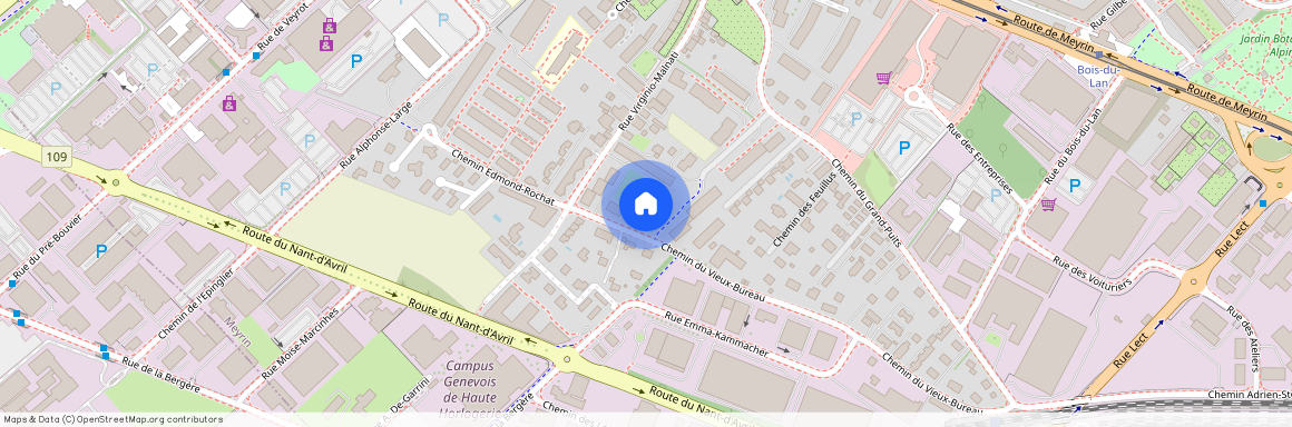 Chemin du Vieux-Bureau 98, 1217 Meyrin