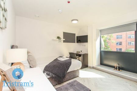 6Bed 6Bath Talbot Street, City Centre - Photo 4