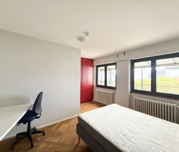 Location Appartement 1 pièce 15m² MITTELHAUSBERGEN 67206 - Photo 5