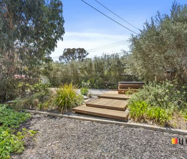 Classic Canberran Home With Native Gardens - Photo 4