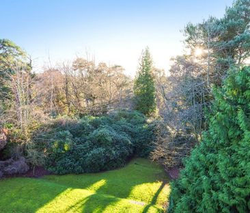 Cobbetts Hill, Weybridge, Surrey, KT13 - Photo 6