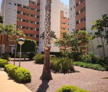 Apartment in Guardamar del Segura, PUERTO, for rent - Photo 1