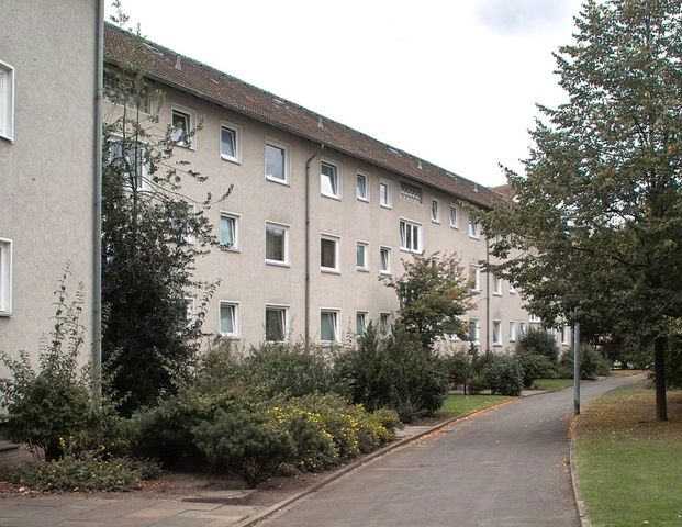 Wohlfühlen in der Teichbreite: Top modernisiert, großzügig, naturnah - Photo 1