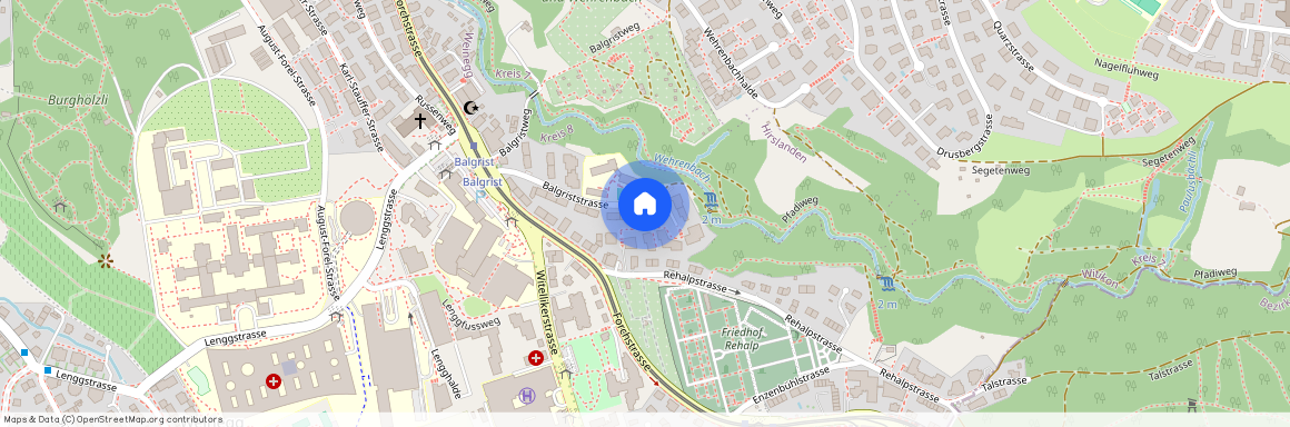 Balgriststrasse 80, 8008, Zürich