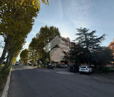 Trilocale in affitto - Photo 2