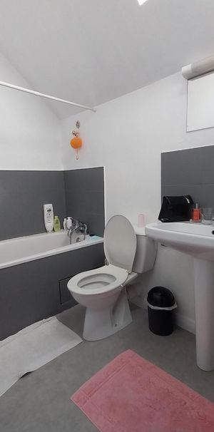 Location Appartement 1 pièce 25m² BRIVE LA GAILLARDE 19100 - Photo 1