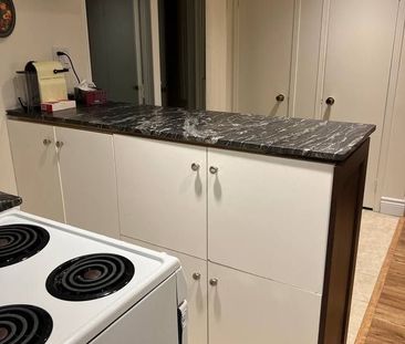 For Lease - 22 Ambrose Court Unit# Basement, Markham, Ontario - Photo 6