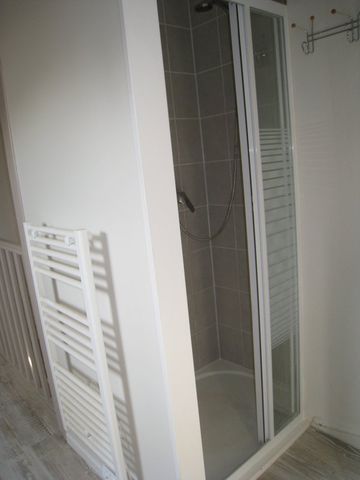 Location Appartement 2 pièces 28m² ORLEANS 45000 - Photo 3