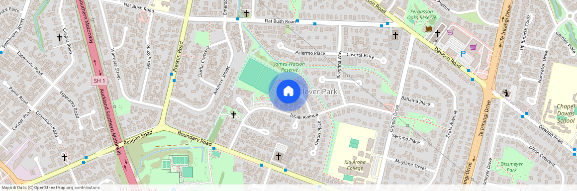 8 Pesaro Place, Clover Park, Manukau City