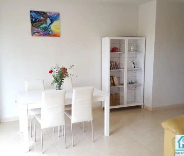 Paterna - Photo 5