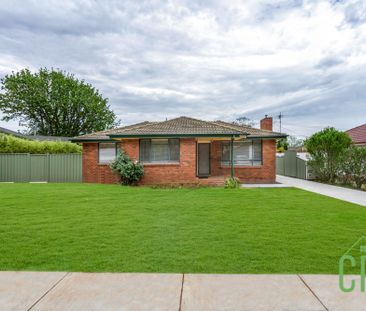 83A Officer Cres, Ainslie ACT 2602 - House For Rent | Domain - Photo 6