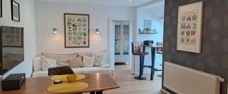 (EF1074_M) Fulda: Innenstadt, möbliertes Apartment mit Klimaanlage direkt in der City, TG-Stellplatz mgl. - Photo 1