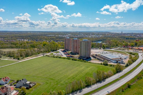 Tegelbruksvägen, Halmstad - Photo 1