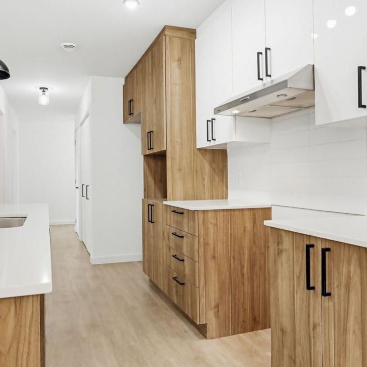 803 Rue St-Isidore, app.003, J5M 2V4, J5M 2V4, Saint - Photo 1