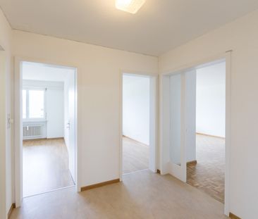 Beautiful residential location on the outskirts of Liestal - Photo 3