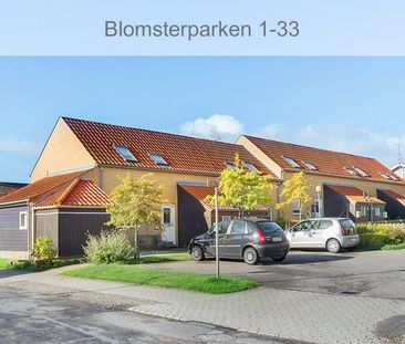 Afd. 22 Blomsterparken - Photo 1