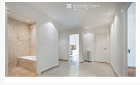 Georgette / Sous-Gare - Jolie Apartment in Lausanne - Photo 5