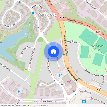 10 Cassia Close, Warabrook NSW 2304