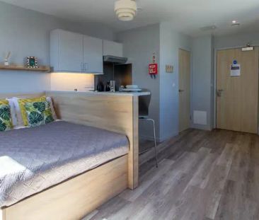 Classic Studio - Photo 6