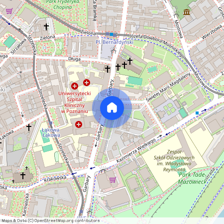 Stare Miasto, Poznań