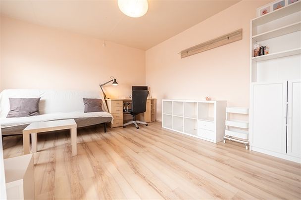 Immobilien - Photo 1