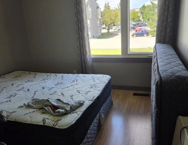 Bright room with lot's of closet space — 1 Bedroom Room For Rent - Photo 1