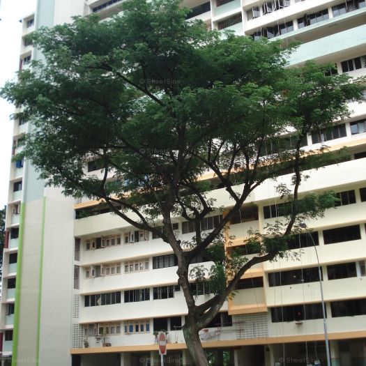 Blk 220 Lorong 8 Toa Payoh (Toa Payoh), HDB 3 Rooms - For Rent - Photo 1