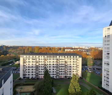 T2 de 56 m² refait à neuf avec belle pièce à vivre - Photo 3