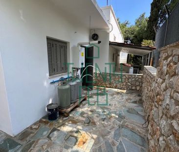 Μονοκατοικία για ενοικίαση Άνω Κηφισιά (Κηφισιά) - Photo 3