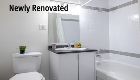 Sydney Arms - Photo 5