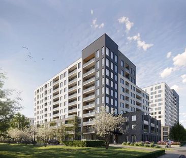 Collection Monarc (Infiniti) - Photo 3