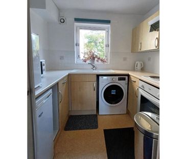 1 bed flat for rent in Shandon - Photo 4