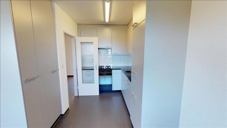 "Ruhige Wohnlage in Muttenz" - Photo 2