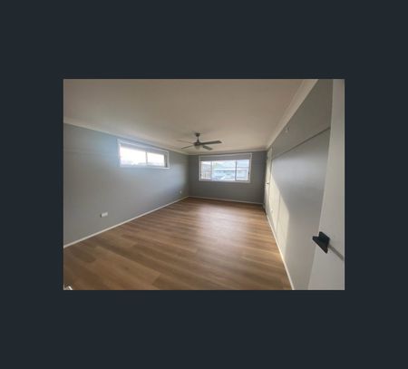 83 Richmond Street, Woodburn, NSW 2472 - Photo 4