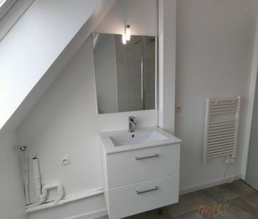 Appartement T1 (27,25 m² Carrez) en location à STRASBOURG - Photo 3