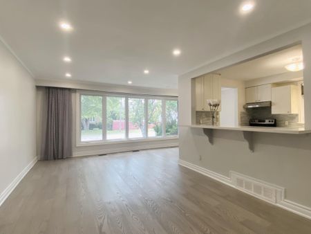 For Lease - 207 Maple Avenue Unit# Main Level, Richmond Hill, Ontario - Photo 3