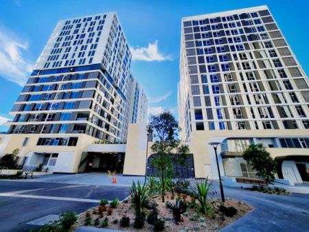 2 bed 1 bath-511 - Photo 2