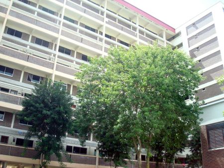 Blk 360 Yishun Jasmine (Yishun), HDB 4 Rooms - For Rent - Photo 4