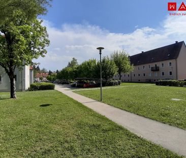 Sonnige Aussichten in ruhiger Grünlage: großzügige 2-Zimmer-Wohnung... - Foto 4