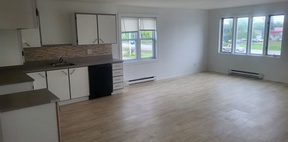 Grand 5 1/2 à Louer à Luskville - Photo 2