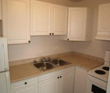 Arbour View Apartments — 2 Bedroom - Photo 6